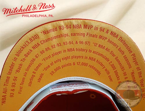 Mitchell & Ness Hall of Fame Fitted Cap Collection