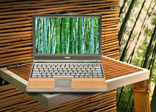 Asus Bamboo Laptop Computer