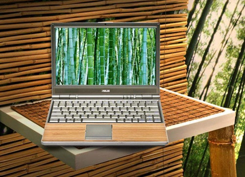 Asus Bamboo Laptop Computer