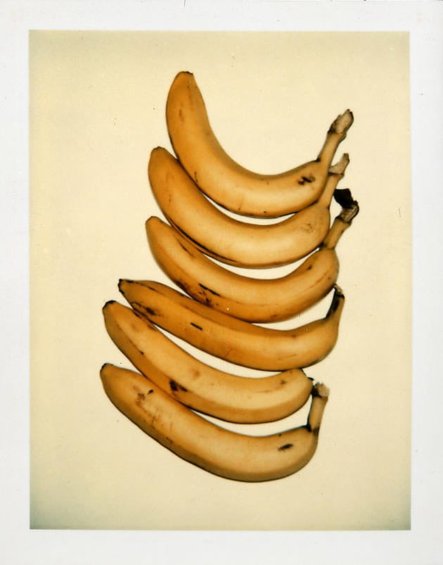 Andy Warhol’s Still-Life Polaroids Exhibition 