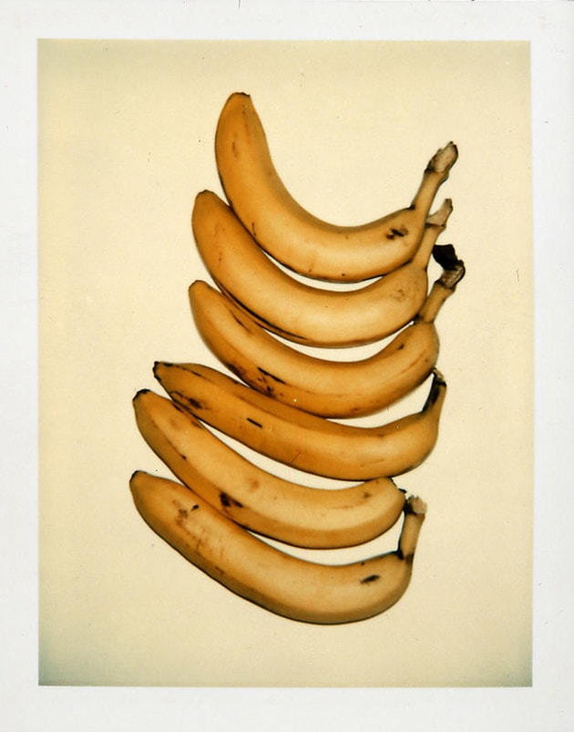 Andy Warhol’s Still-Life Polaroids Exhibition