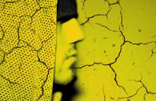 Timothy McGurr: The 13th Witness