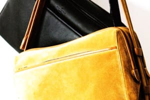 Louis Vuitton Reporter Bag