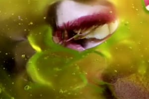 Marilyn Minter Video Installation