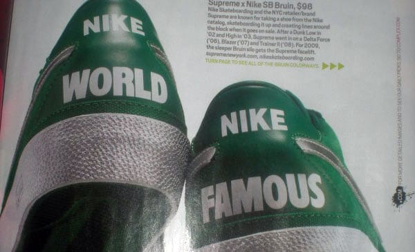 Supreme x Nike SB Bruin