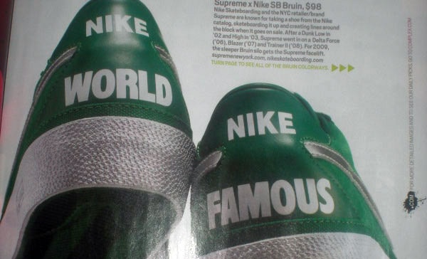 Supreme x Nike SB Bruin