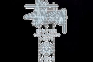 Stussy Japan World Tour Neon T-Shirts