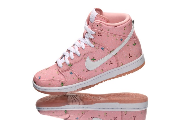 Paule Marrot x Nike Skinny Dunk Hi