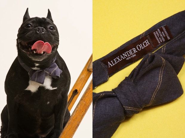 Alexander Olch 2009 Spring/Summer Bow Ties