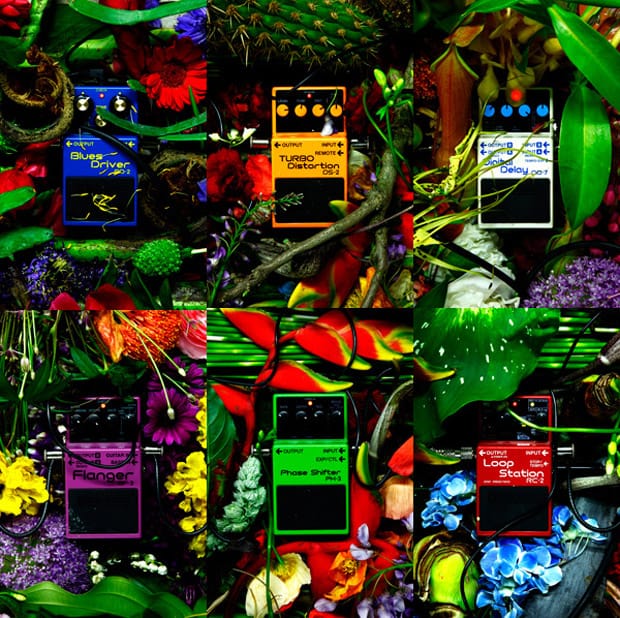 Azuma Makoto | Distortion x Flowers Exhibition 