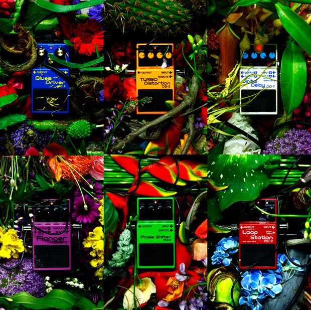 Azuma Makoto | Distortion x Flowers Exhibition