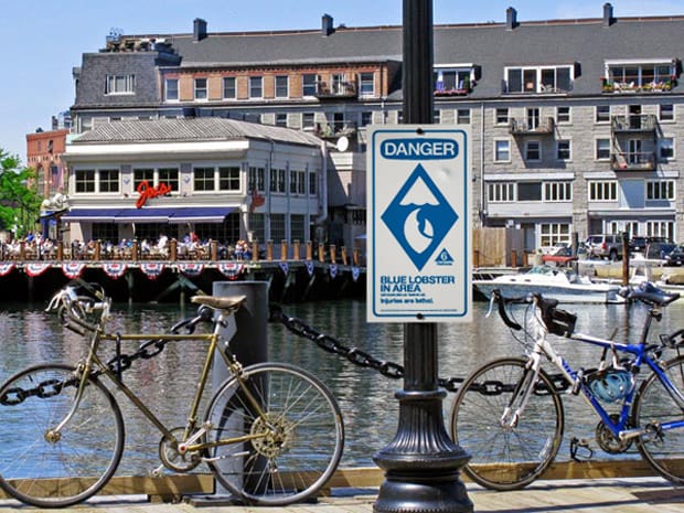 Nike SB "Blue Lobster" Dunk?