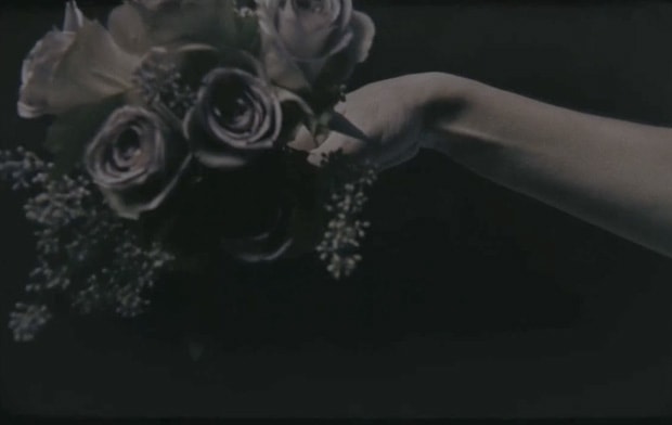 Mnemosyne by Daphne Guinness & David Parker