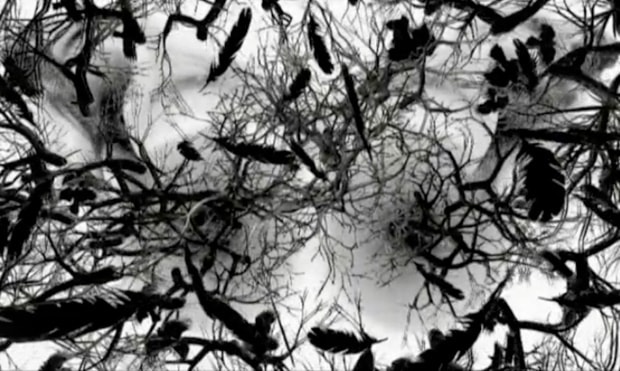 New Balance NB 999 Feral Creation Videos