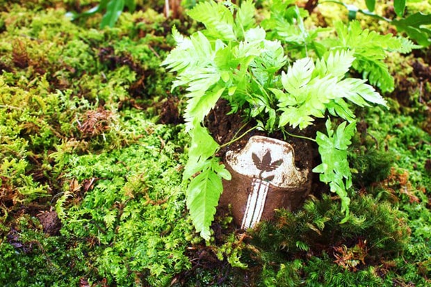 adidas Plants Exhibition at adidas Plantshouse