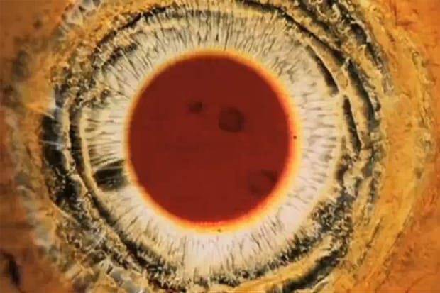 Depeche Mode - Fragile Tension (Video) 