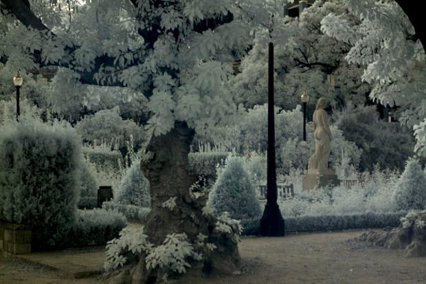 Lou Reed "Romanticism" Exhibition