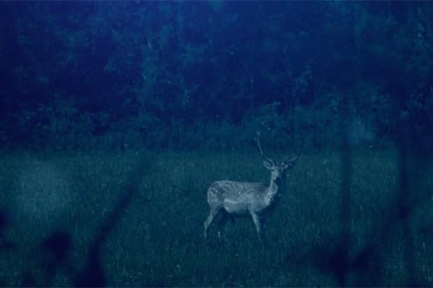 Asics 2010 Spring Running Film