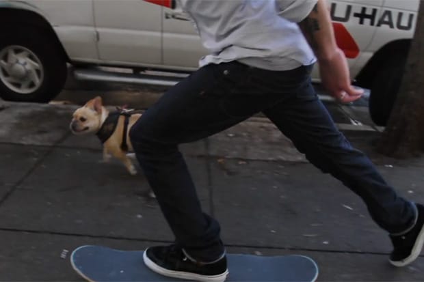 Benny Gold: Stay Gold