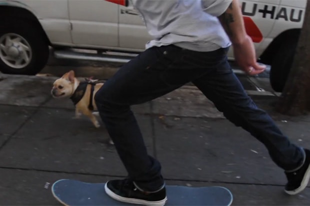 Benny Gold: Stay Gold