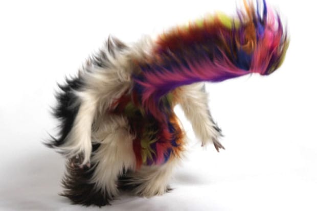 Nick Cave: Meet Me at the Center of the Earth Exhibition