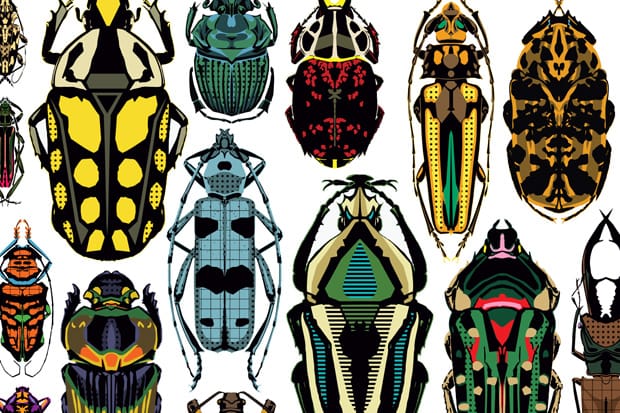 stacks 2010 Spring Skate Decks