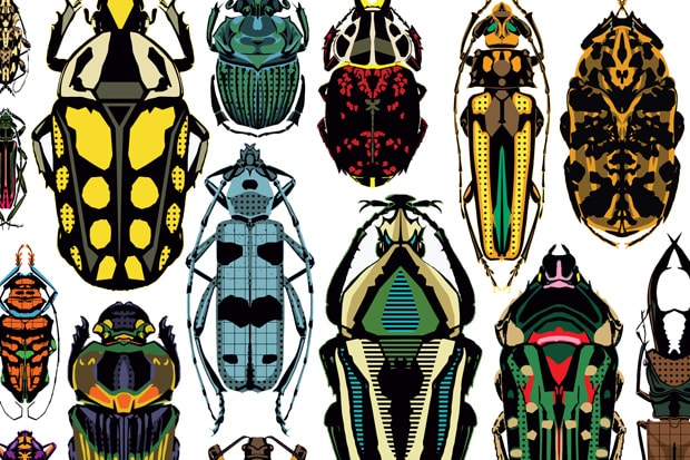 stacks 2010 Spring Skate Decks