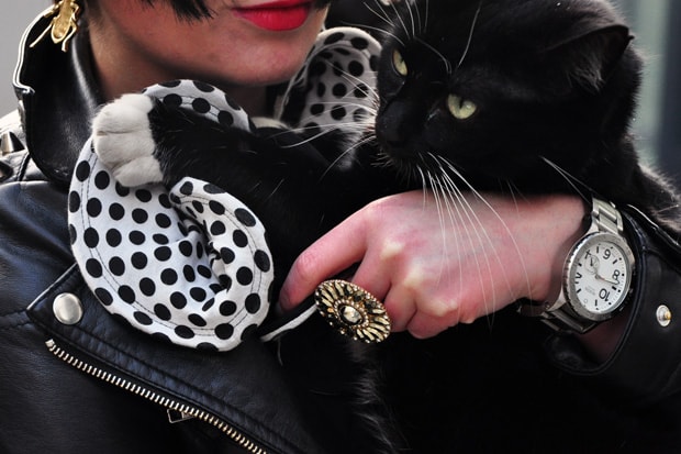 Streetsnaps: Black Cat, White Paws