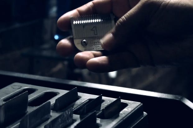 Jake Davis: Round About Midnight With Josh Peskowitz