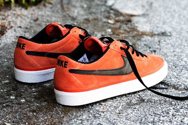 Nike 2010 Spring Zoom Bruin SB