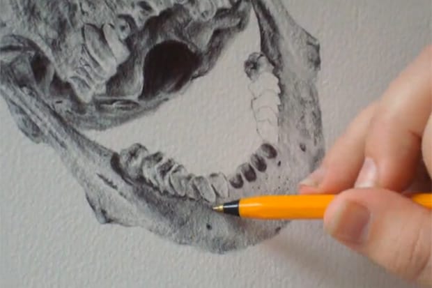 Paul Alexander Thornton Stop-Motion