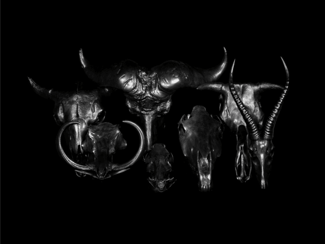 SANG BLEU: Natalia Brilli