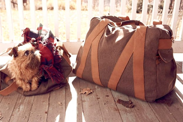 Whillas & Gunn 2010 Fall/Winter Bags Collection