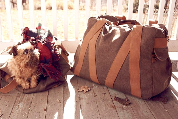 Whillas & Gunn 2010 Fall/Winter Bags Collection