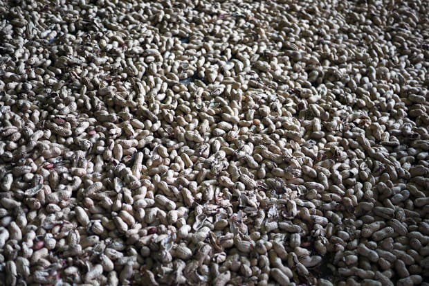 Bread & Butter 2011 Spring/Summer Show: Crunch