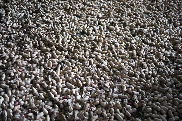 Bread & Butter 2011 Spring/Summer Show: Crunch