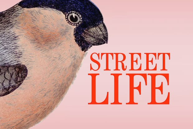 Nike SB “The Bird is the Word” European Tour "Street Life" Video