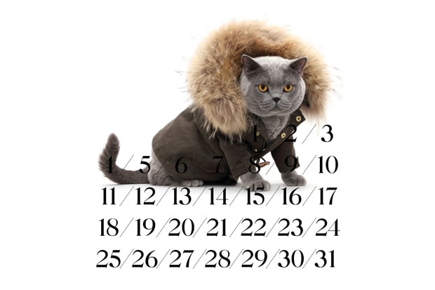 United Bamboo 2011 Calendar