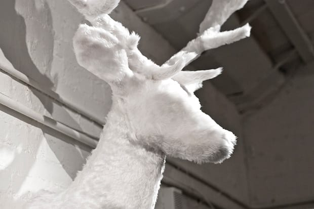 Arran Gregory "Trophy Room" Exhibition Recap