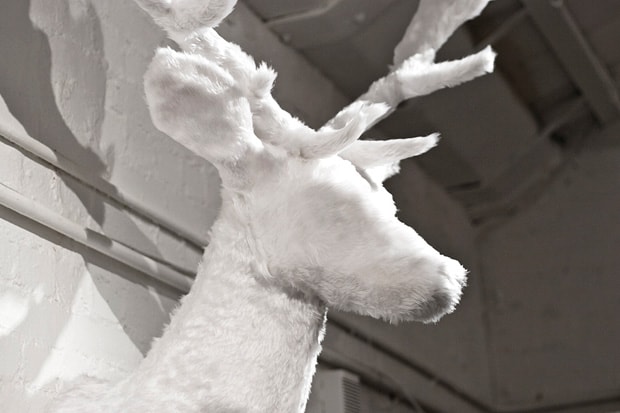 Arran Gregory "Trophy Room" Exhibition Recap