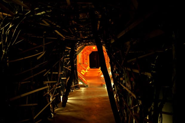 LATE NIGHT CHAMELEON CAFE