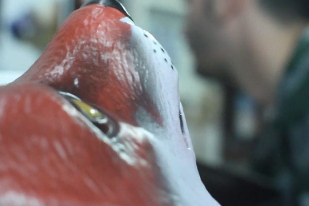 Nate Frizzell: I Should Know Who I Am By Now