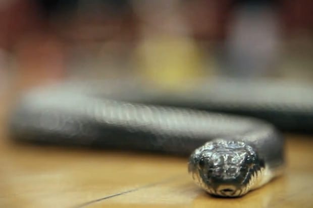 Nike Zoom Kobe VI "Ophidiophobia" Commercial