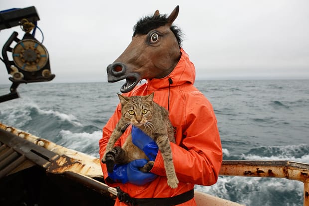 Corey Arnold "Fish-Work" Exhibition at Fecal Face Dot Gallery