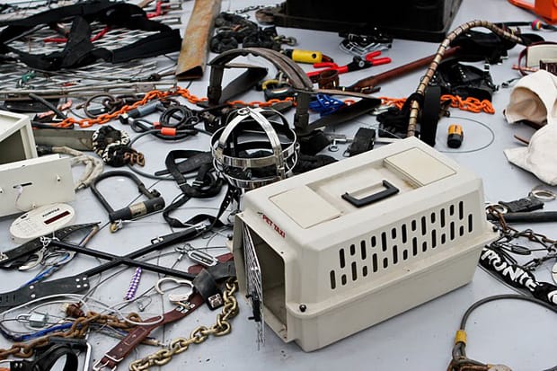 Dan Colen "Come Out, Come Out, Wherever You Are!" Exhibition @ The Carlson Gallery