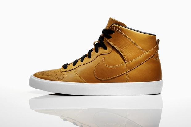 Nike Sportswear 2011 Fall/Winter Dunk AC Premium