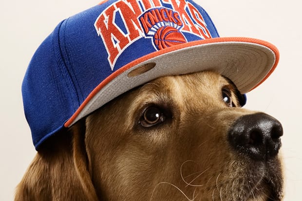 The Chimp Store: “Chimptown Dogs” Editorial