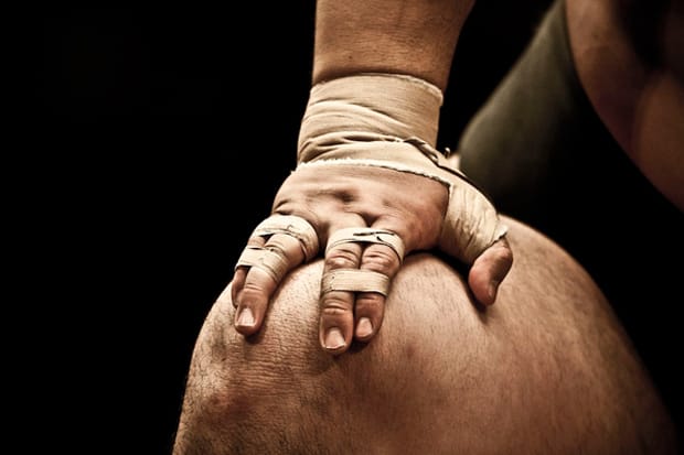 Art of Sumo by Tomoki Momozono