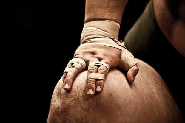 Art of Sumo by Tomoki Momozono