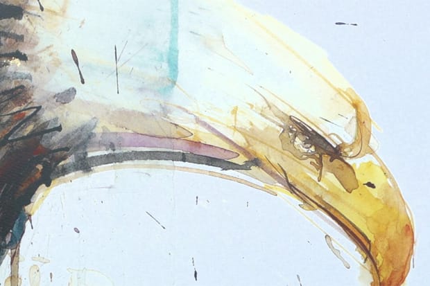 Dave White Video Interview